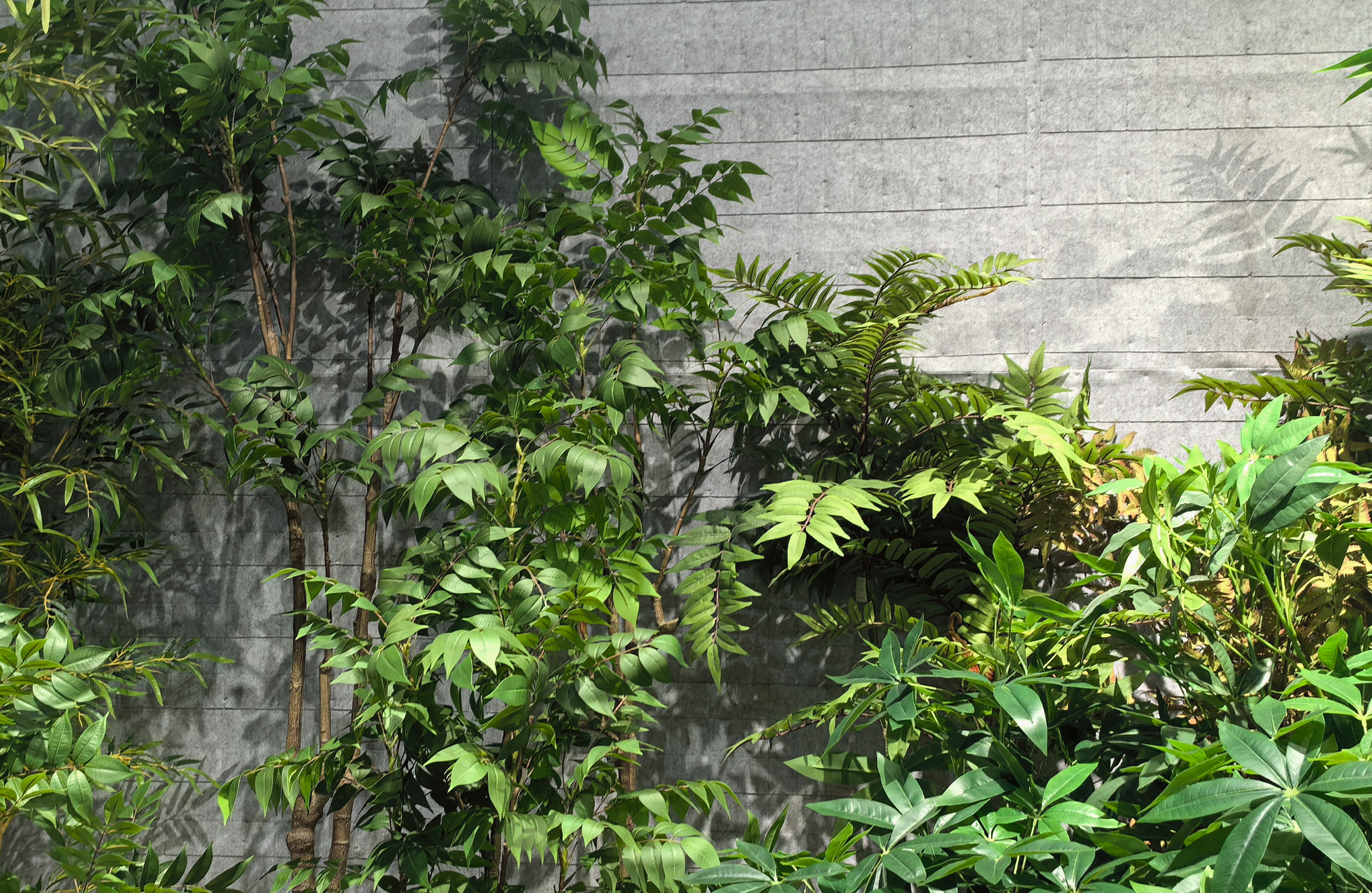 Artificial Plant Solution for Retail & Chain Stores-01.jpg